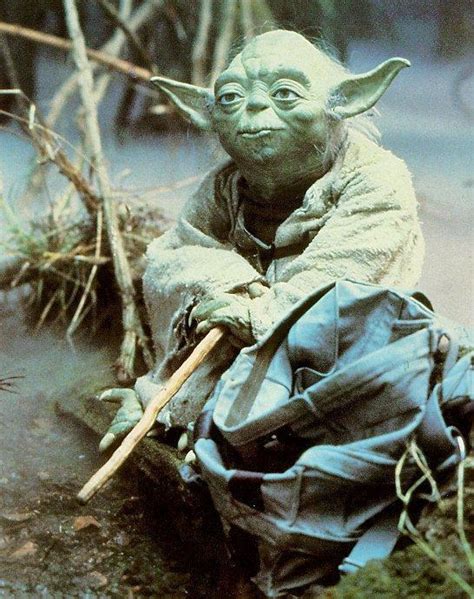 yoda lis|yoda lis log in.